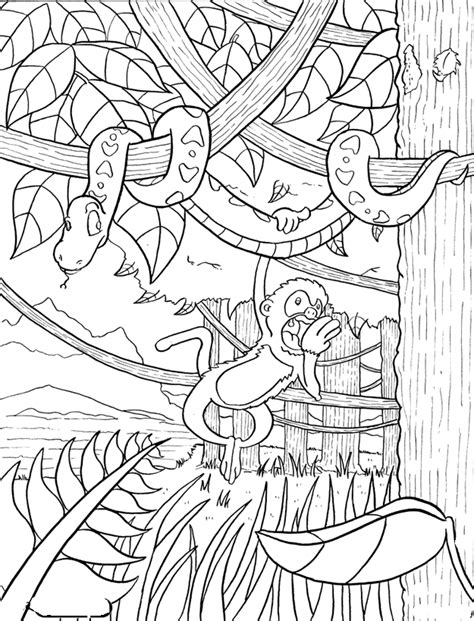 Snake And Monkey Jungle Coloring Pages Rainforest Coloring Pages