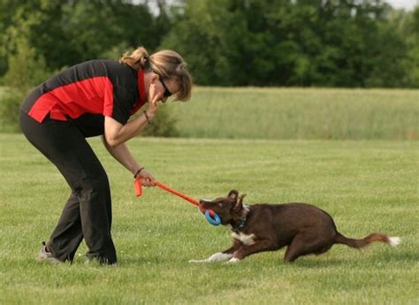 Dvd, ntsc format running time: The Duration of The Tug Sessions | Susan Garrett's Dog ...