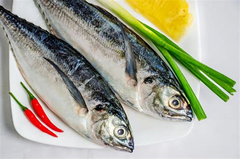 Poisson De Mer Comestible Photos Stock