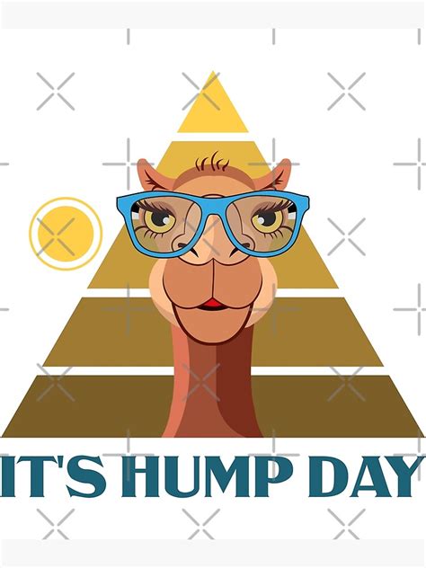 It S Hump Day Funny Happy Hump Day Funny Camel With Sunglasses Photographic Print For Sale