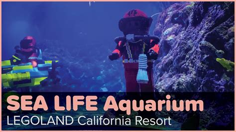 Sea Life Aquarium Legoland California Resort Youtube