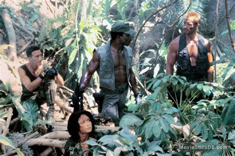 None of these logical questions are very important to the movie. Predator (1987) - Movie stills and photos in 2020 ...