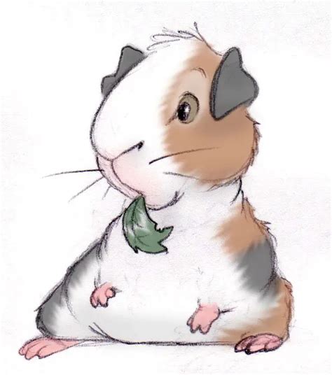 Guinea Pig Cartoon Drawing Speaking For All Guinea Pigs By Ninjaink