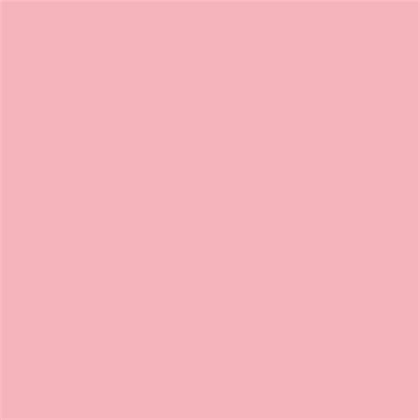 Nude Pink Color Wallpaper Carrotapp The Best Porn Website