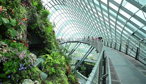 Singapore gardens by the bay. Gardens by the Bay | Singapore Travel Guide | Marina Bay Sands