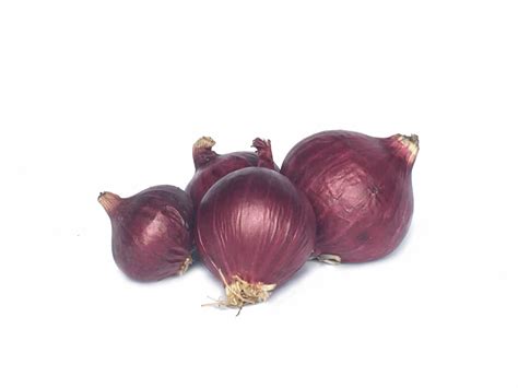 Onion India Rose Bawang Merah Kecil India 印度红洋葱 Kg Kl Fruits