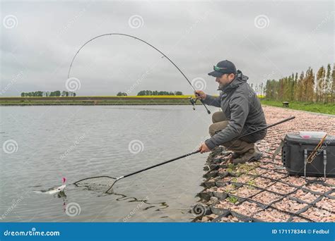Area Trout Fishing Fisherman With Spinning Rod In Action Playing Fish