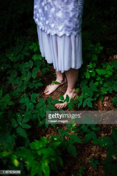 Bare Women In The Woods Photos Et Images De Collection Getty Images