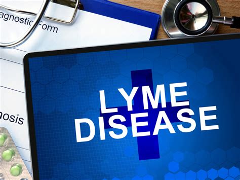 Protect Yourself From Lyme Disease Easy Health Options®