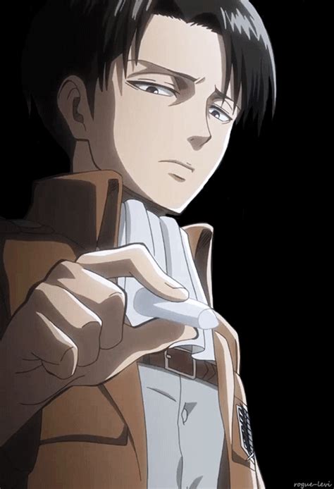 Bald Levi Ackerman Levi Gives A Glimpse Into His Cold Personality With