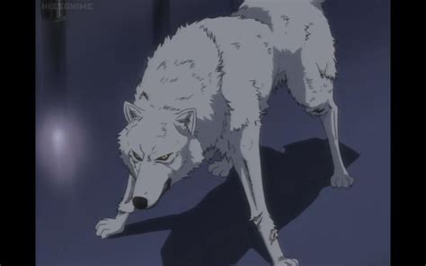 A White Wolf Standing On Top Of A Floor Next To A Shadow Filled Wallpaper