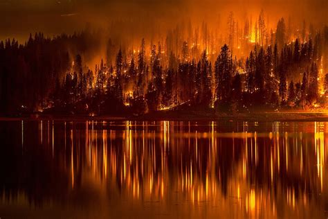 Burning Forest Near Lake During Nighttime Hd Wallpaper Wallpaper Flare