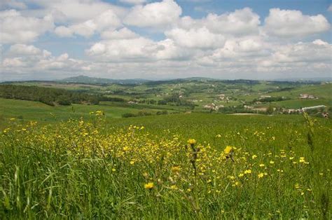 Population of riccia, molise is 5,649. Riccia Photos - Featured Images of Riccia, Province of ...