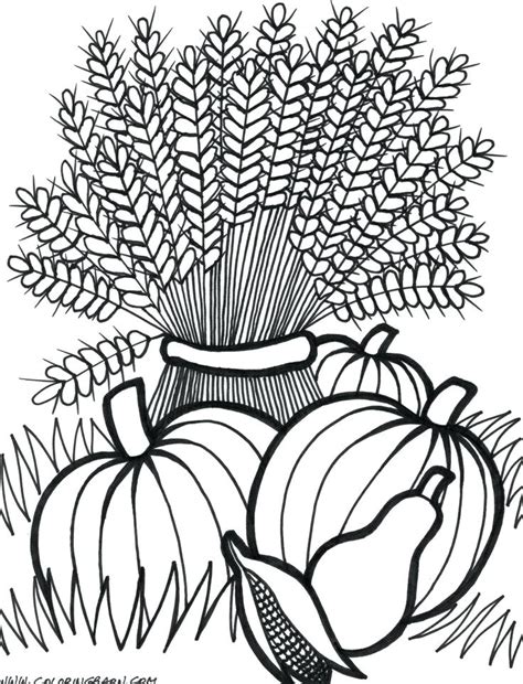 Fall Coloring Pages For Adults At Free Printable