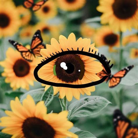 Stream Sunflower Eyes By Semelele Listen Online For Free On Soundcloud