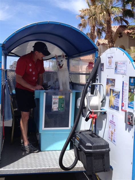 Mobile Pet Grooming Near Me Now - Mobile Dog Grooming Davie | Mobile