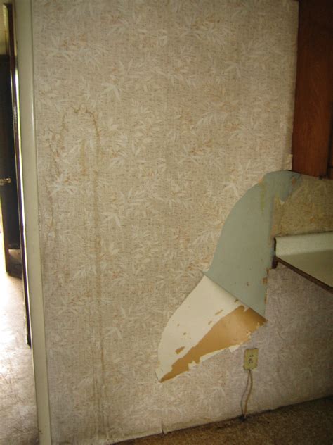 You can use it to decorate a whole room or focus. wallpaper: Wallpaper Peeling Off Walls