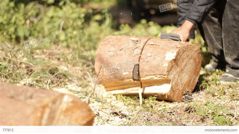 Cutting Wood Electric Saw Firewood Forest Ecology Chop Timber Lumber