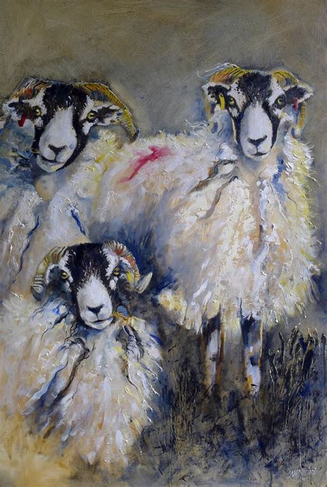 Swaledale Sheep Sheep Paintings Sheep Art Animal Illustration