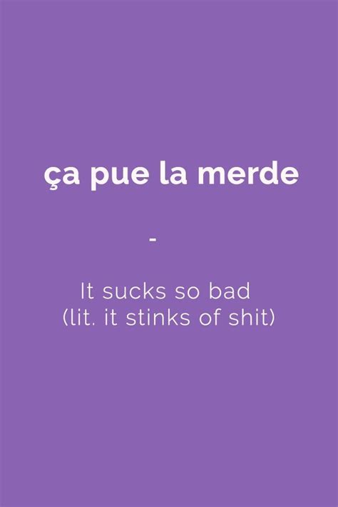 Ca Pur La Merde It Sucks So Ba Lit It Stinks Of Shit French Nouns