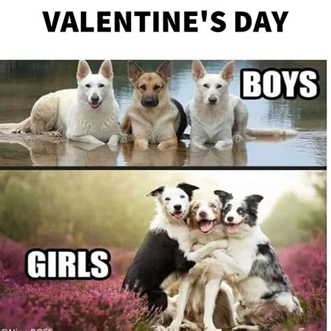 Sms jokes jokes in hindi jokes quotes funny quotes memes funny pictures tumblr funny picture quotes passion quotes attitude quotes. Happy Valentine Day 2019 Special Funny Memes - OddMeNot ...