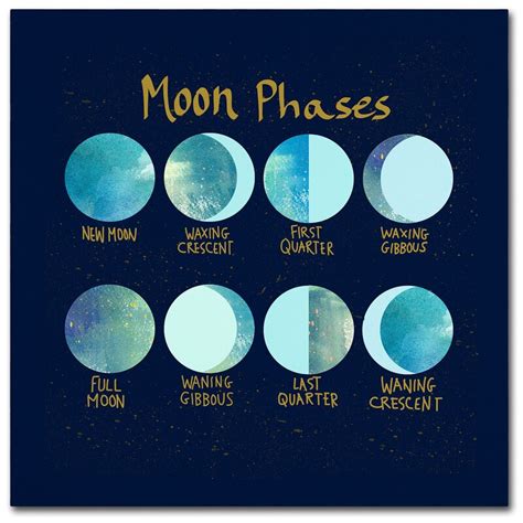 East Urban Home Moon Phases Graphic Art Print On Wrapped Canvas Wayfair