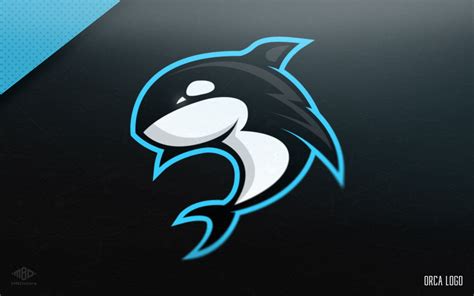 Orca Whale Sport Mascot Logo Desain Logo Seni Desain