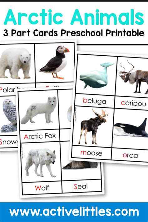 Arctic Animals 3 Part Cards Printable Payhip
