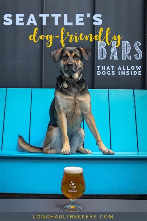 A Guide To The Dog Friendly Bars Of Seattle Long Haul Trekkers Dog
