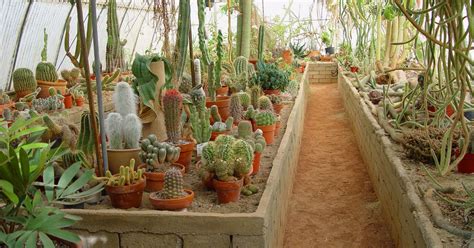 Palm Springs' Moorten Botanical Garden a desert Eden in of a 'village'