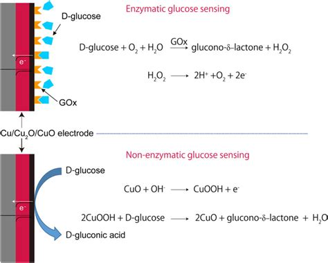 Schematic Of The Possible Mechanisms Of The Enzymatic Glucose Sensing