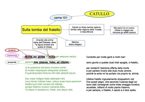 Mappa Concettuale Latino 14 Catullo Carme 101 DSA Study Maps
