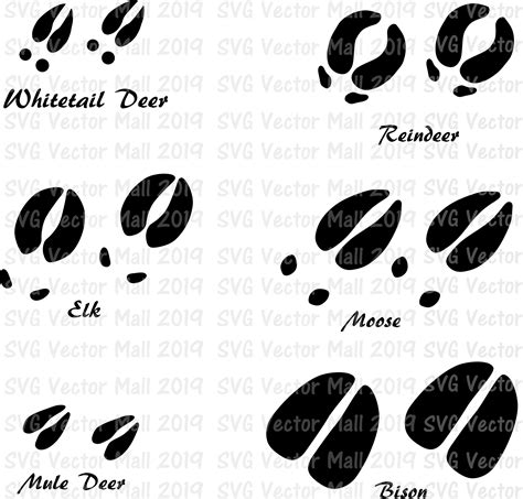 Scarica le icone in tutti i formati o modificale per i tuoi progetti. Deer tracks, SVG, Tracks, animal prints, whitetail deer ...