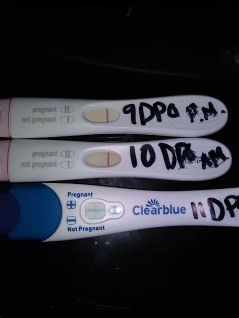 Finally Bfp After Miscarriage Glow Community