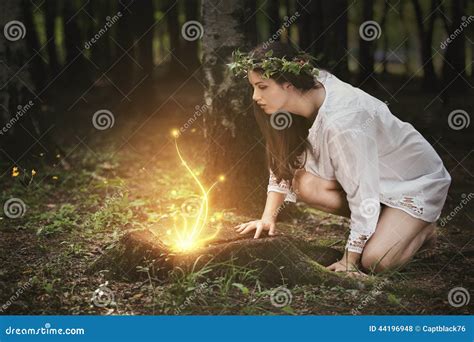 Fairies Lights In A Magical Forest Stock Photo Image Of Magical