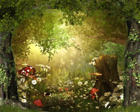 Fairy Forest Stock Photos Pictures And Royalty Free Images Istock