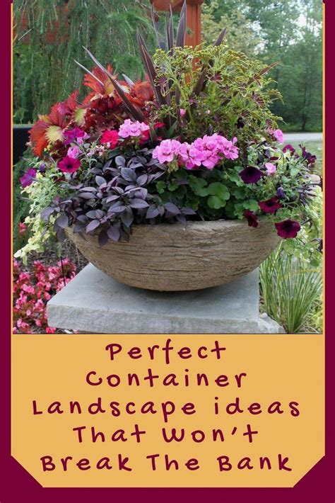 Container Gardening Tips Creativecontainergardening Container