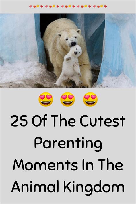 25 Of The Cutest Parenting Moments In The Animal Kingdom Heartwarming