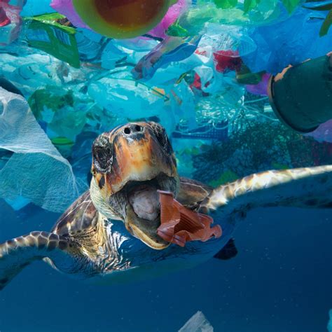 Plastic In Oceans Na Eye