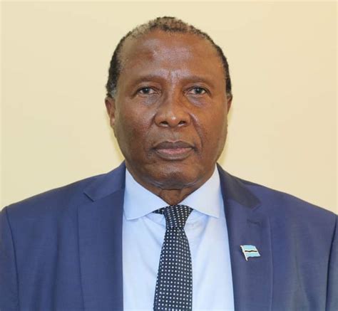 His Excellency The President Appoints New Envoy To Kenya Botswana