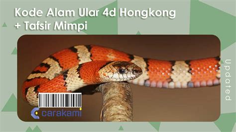 kode alam ular masuk rumah 4d hongkong