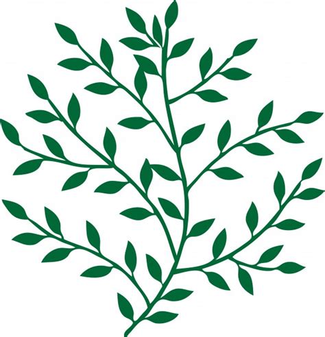We did not find results for: Leaves On Branch Free Stock Photo - Public Domain Pictures