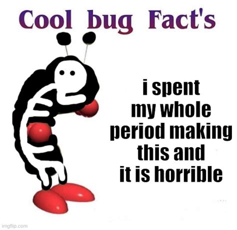 Cool Bug Facts Memes And S Imgflip
