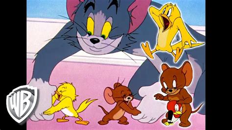 Top 10 Tom And Jerry Images Pictures Photos For Whatsapp