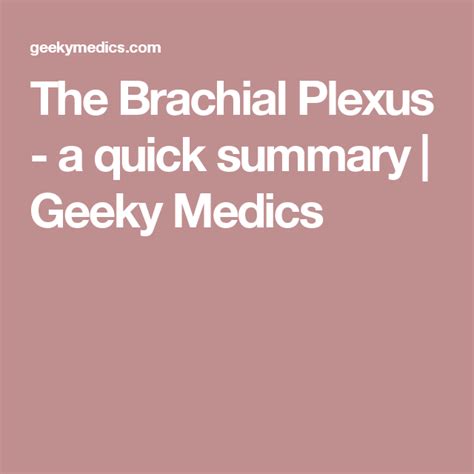 The Brachial Plexus A Quick Summary Brachial Plexus Products Medical