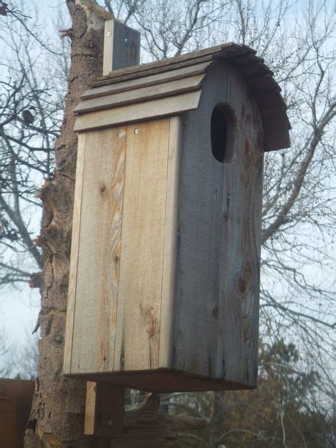 21 Barn Owl Houses Ideas Owl House Barn Owl Owl