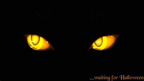  Halloween And Black Cat  On We Heart It Cute Drawings Eye