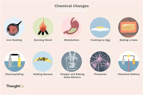 ¿cuáles Son 10 Ejemplos De Cambios Químicos Vavavoom