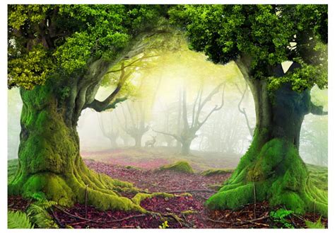 Photo Wallpaper Enchanted Forest Fantasy Wall Murals