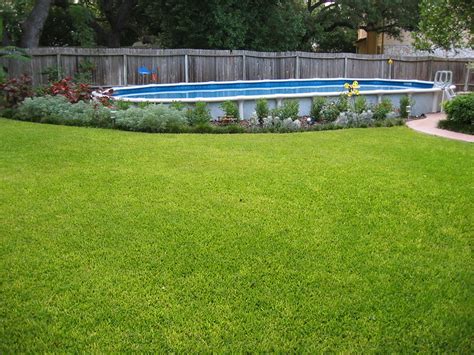 Oval pools range in standard size of 12 or 16 feet wide by 16 to 32 feet long. Large Above Ground Oval Pool - Bexar County | Flickr ...